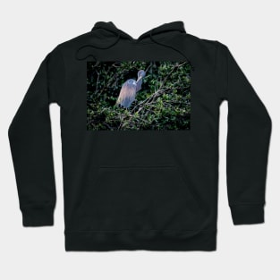 Dreamy Heron Hoodie